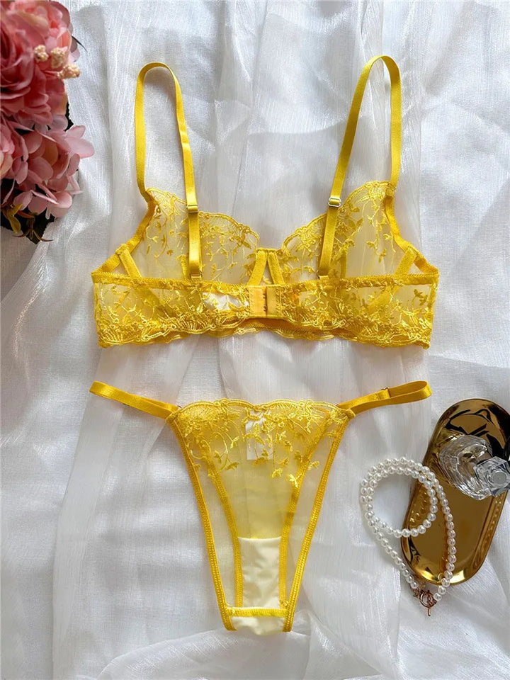 Sexy Lace Embroidered Lingerie Set - See Through Bra & Briefs