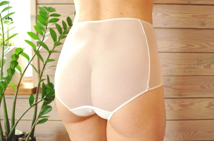 Flirty fully transparent Glamorous Net Panty
