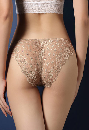 Transparent Lace Hipster Brief